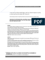 Tratamiento hidrometalúrgico del oro diseminado en pirita y arsenopirita del.pdf