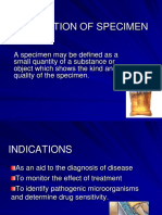 Collection of Specimen PDF