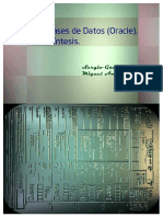 Java y Bases de Datos (Oracle).pdf
