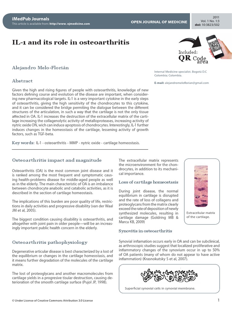 Alejandro Melo: IL-1 and Its Role in Osteoarthritis. | PDF ...