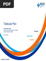 Testicular Pain: DR Heng Chin Tiong