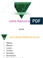  Anfis Respirasi