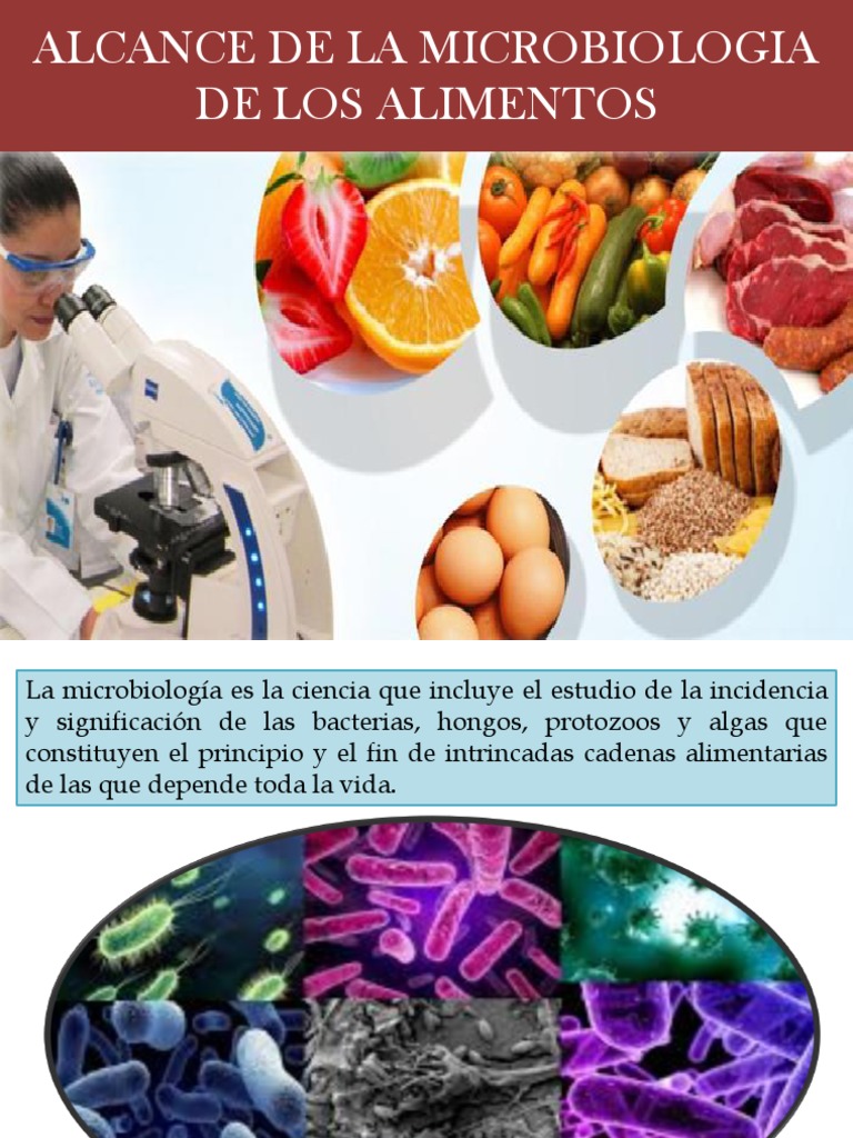 Alcance de La Microbiologia de Los Alimentos | PDF | Microorganismo ...