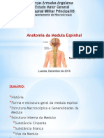 medula-neida.ppt