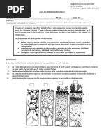 Guias Unidad Capas de La Tierra 6° Suelo