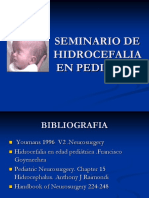 Seminario de Hidrocefaliadefinitivo