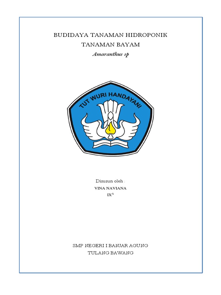 Budidaya Tanaman Hidroponik