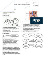 Sistema excretor: funciones de riñones, vejiga y ureteres