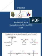 Protein PDF