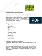 sv-velas-aromaticas.pdf