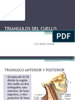 CLASE 5 TRIANGULOS DEL CUELLO.pptx