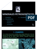 IV. Minerales Petrogenéticos 1