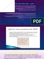 Secuenciacion Del Adn