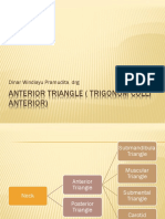 Trigonum Coli Anterior