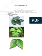 Kuiz Farmakognosi Tentang Simplisia, Taksonomi, dan Morfologi Daun