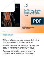 Sensory and Motor Tracts of Spinal Cord.pdf