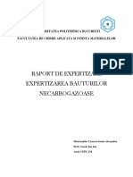 Raport de Expertiza Model (1)