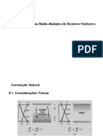 Termo-fluido-dinâmica de Reatores Nucleares: Convecção Natural