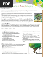 Reconhecimento de Riscos de Arvores