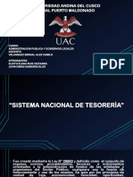 Sistema Nacional de Tesoreria Exposicion