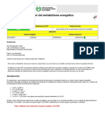 ntp_323 Metabolismo.pdf