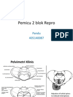 Pandu - P2 Repro