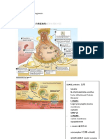 BTX Pathogenesis