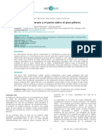 Piso Pelvico y Gestación.pdf