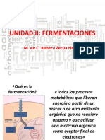 UNIDAD II - Fermentaciones PDF