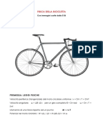 Fisica Della Bicicletta