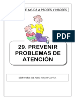 29 Prevenir Problemas Atencion