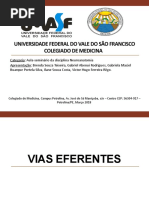 Slide- Trab de Neuro Vias Eferentes