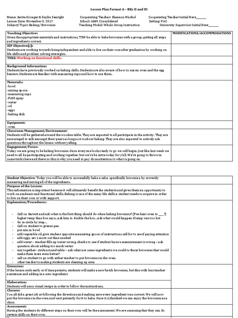 375479255-Brownie-Lesson-Plan 1 | PDF | Classroom Management | Teachers