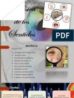 Biofisica de Los Sentidos.