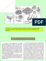 Leccion 45 Caracteres Generales Lofoforados