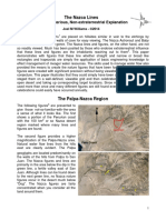 Nazca and Palpa Lines