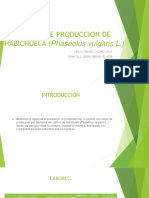 Costos de Produccion de Habichuela (Phaseolus Vulgaris
