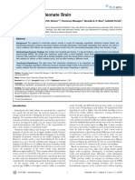 Memory of Neonate PDF