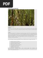 Download Mengenal Rotan by Nurlaila Ela Ila SN375511791 doc pdf