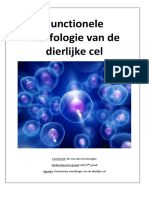 Leerlingencursus Icto