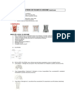 roteiro exame fisico do abdome.pdf