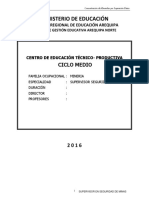 Programacion Supersisor Seguridad de Minas