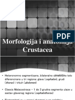 06 - Morfologija I Anatomija Crustacea