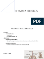 Anatomi Trakea Bronkus