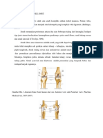Anatomi Fisiologi Knee Joint FT Olahraga