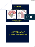 Pertemuan 2 (Saraf Dan Respirasi)