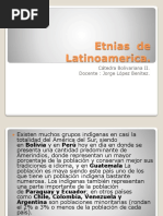 2.Etnias de Latinoamerica (2)
