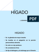 El higado