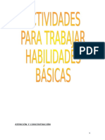 Actividades tipo.CAPACIDADES BASICAS.doc