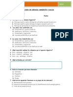 EVALUACION Digestion